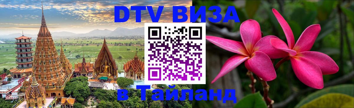 Оформление DTV визы под ключ: стоимость и тарифы, только загранпаспорт - 